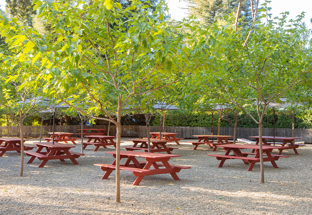 Guest Count: 81-350,25-30 picnic tables (each table sits 6-8 comfortably),Up to 6 hours, between 11am-10pm, 7 days a week,Space fee + food & beverage (please inquire for quote)
